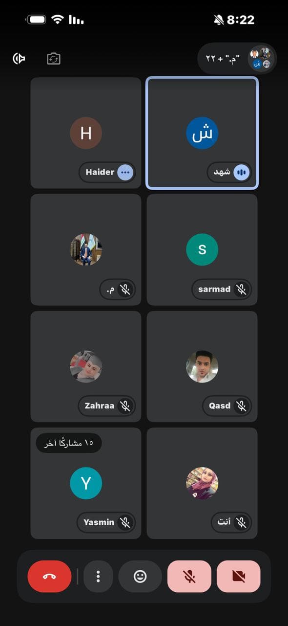 Online seminar: an analytical review of two books (Political Leadership and Peacebuilding in Plural Societies; Iraq between Internal Pressures and External Bets) 3